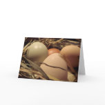 Farm Fresh Easter Cards