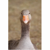 Farm Goose Photo Sculptures