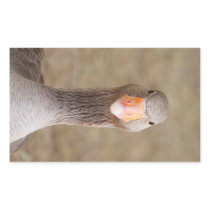 Farm Goose Rectangular Sticker