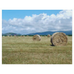 Farm landscape flyers