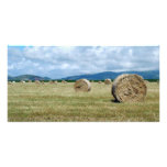 Farm landscape photo cards