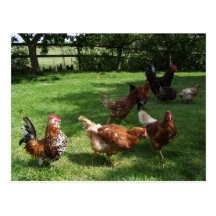 Farm Postcard