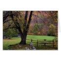Farm scene,  Autumn  cards
