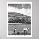 Farmer & horse plough, 1960's Ireland, Co. Meath posters