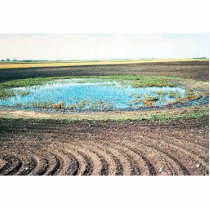 Farming Affecting Wetlands Photo Cut Outs