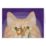Fascination cards