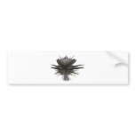 fascinator bumper stickers