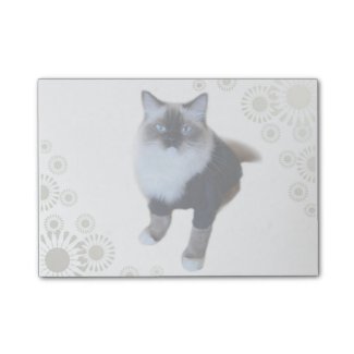 Fashion Cat Post-it Notes Post-it® Notes