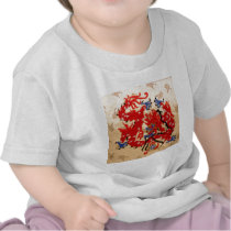 Fashion Fabric - Native Embroidery on Satin Silk T-shirts