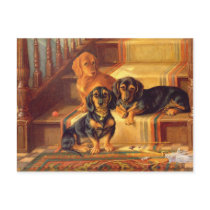 Fashionable Refinities Post Card