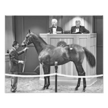 Fasig Tipton Yearling Auction Photo Print