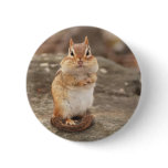fat and fluffy chipmunk buttons