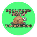 Fat bird thanksgiving round stickers
