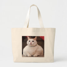 Fat Cat Bags