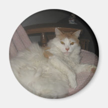 Fat Cat Fridge Magnet