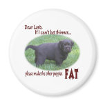 Fat Chocolate Lab Puppy Humour magnets