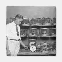 Fat Rat, 1920s Refrigerator Magnet