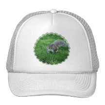 Fat Squirrel  Baseball Hat