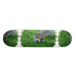 Fat Squirrel Skateboard