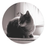 Fat Tabby Cat stickers