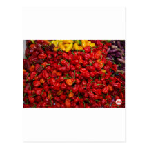 Fatalii's Chile Peppers 2 Postcards