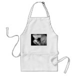 father and son aprons