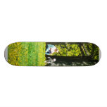 Father and Son Under the Trees Skateboards