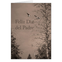 Father's Day In Spanish Card