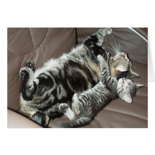 Father's Day kitty card