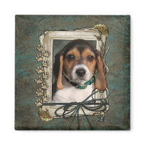 Fathers Day - Stone Paws - Beagle Puppy