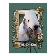 Fathers Day - Stone Paws - Bedlington Terrier Postcards