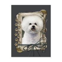 Fathers Day - Stone Paws - Bichon Frise