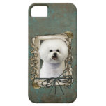 Fathers Day - Stone Paws - Bichon Frise