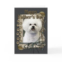 Fathers Day - Stone Paws - Bichon Frise cards