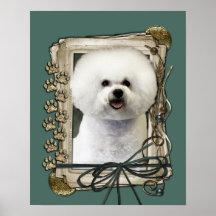 Fathers Day - Stone Paws - Bichon Frise Print