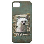 Fathers Day - Stone Paws - Chinese Crested