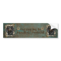 Fathers Day - Stone Paws - Dachshund - Winston Bumper Stickers