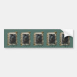 Fathers Day - Stone Paws - Newfoundland Bumper Stickers