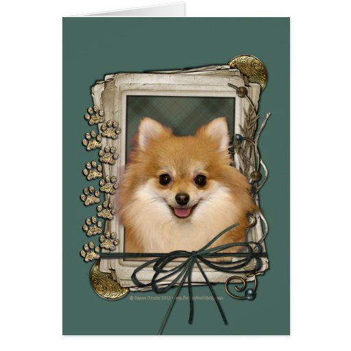 Fathers Day - Stone Paws - Pomeranian Greeting Card