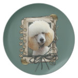Fathers Day - Stone Paws - Poodle - Apricot Party Plates