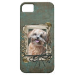 Fathers Day - Stone Paws - ShihPoo - Maggie