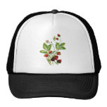 Faux Embroidered Fresh Strawberries Hat