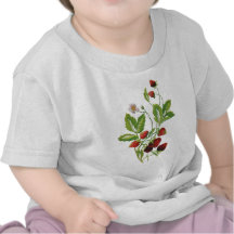 Faux Embroidered Fresh Strawberries Tee Shirt