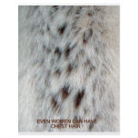 FAUX FUR CHEST HAIR flyers
