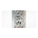 FAUX FUR CHEST HAIR photo cards