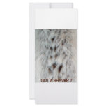 FAUX FUR CHEST HAIR rack cards