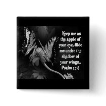 FAVORITE  BIBLE SCRIPTURE PSALM 17:8