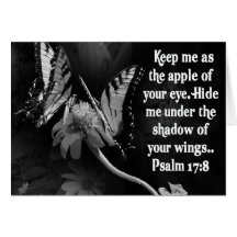 FAVORITE  BIBLE SCRIPTURE PSALM 17:8 GREETING CARD