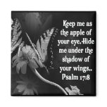 FAVORITE  BIBLE SCRIPTURE PSALM 17:8 magnets