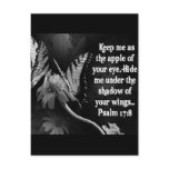 FAVORITE  BIBLE SCRIPTURE PSALM 17:8 postcards